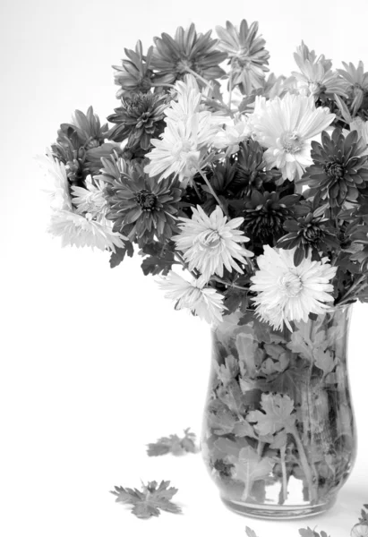 Bukiet kwiatów jesieni — Zdjęcie stockowe