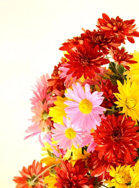 Buket çiçek Güz — Stok fotoğraf