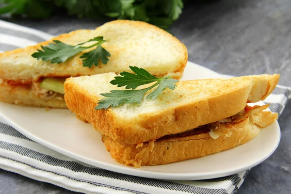 Sandwich mit frischem Gemüse und Hühnchen — Stockfoto