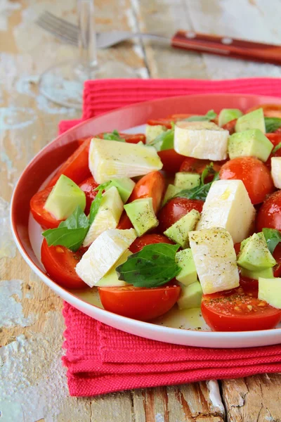 Salad with cheese camembert and tomato — Stock Photo, Image