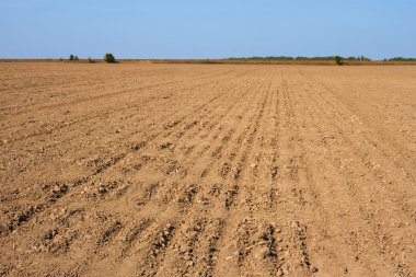 Furrows in the field clipart