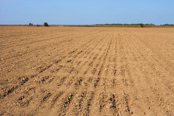 Furrows in the field — Stock Photo, Image