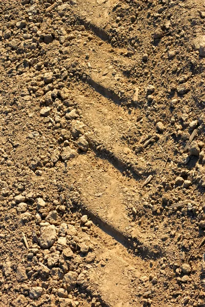 Tread pattern on soil — Stock Photo, Image