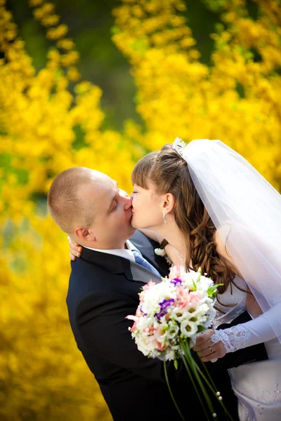 Os recém-casados — Fotografia de Stock