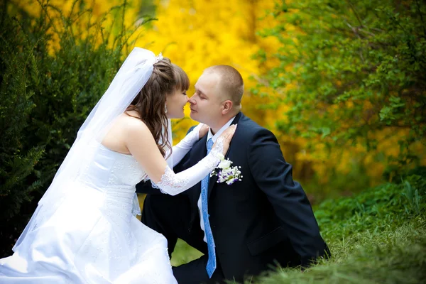 Nygifta — Stockfoto