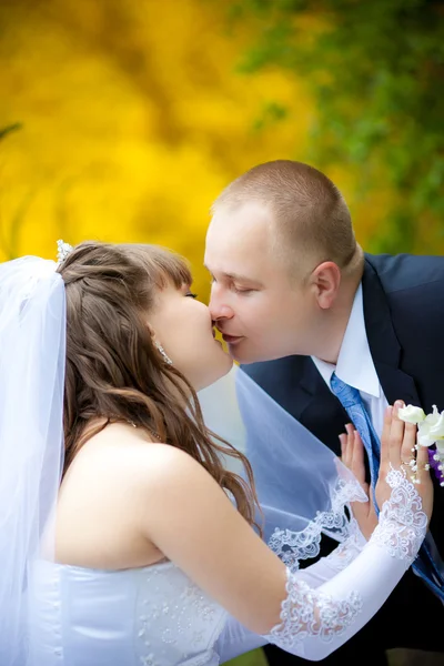The newlyweds — Stock Photo, Image