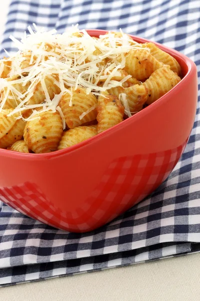 stock image Delicious pasta shells with fresh marinara sauce