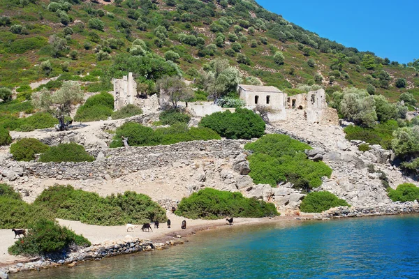 Oude Byzantijnse kerk van camellia eiland — Stockfoto