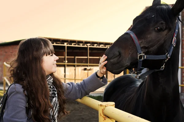 stock image Friendship