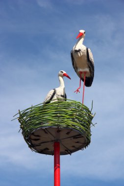 Couple of white storks in nest clipart