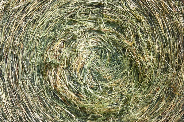 A close-up shot of a large bail of hay — Stock Photo, Image