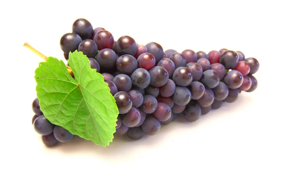 Синій виноград з зеленим листом, ізольований на білому тлі — стокове фото