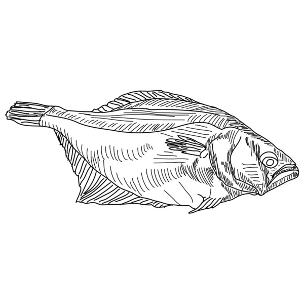 Drawing hand fish — Stock fotografie