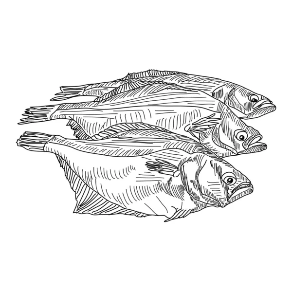 Dibujar pescado de mano — Foto de Stock