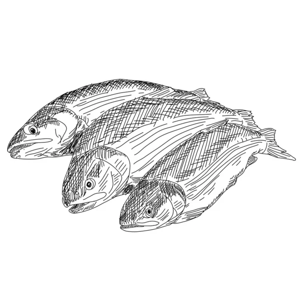 Drawing hand fish — Stockfoto