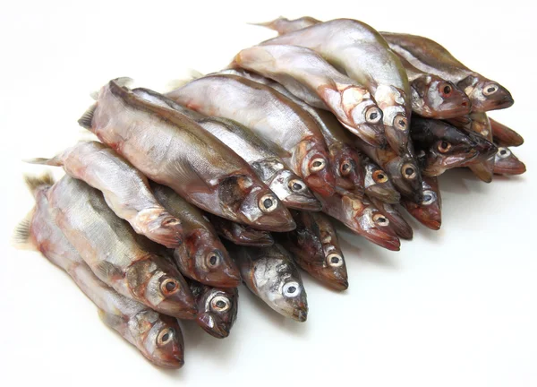 Fresh fish sprats — Stock Photo, Image