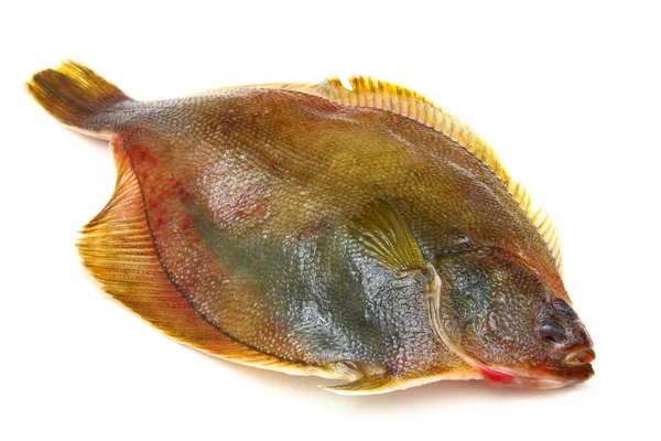 Frische Fische zappeln auf weißem Hintergrund — Stockfoto
