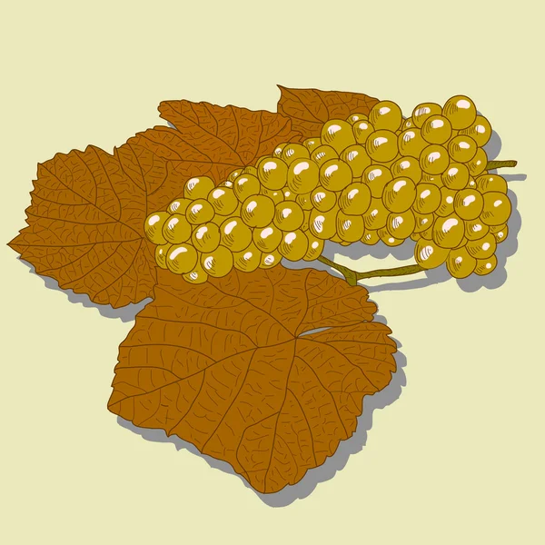 Abstract Grape with leafs) — Stock Photo, Image