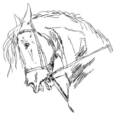 Black horse clipart