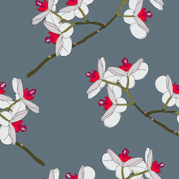 Flores de orquídeas. Papel de parede sem costura . — Fotografia de Stock