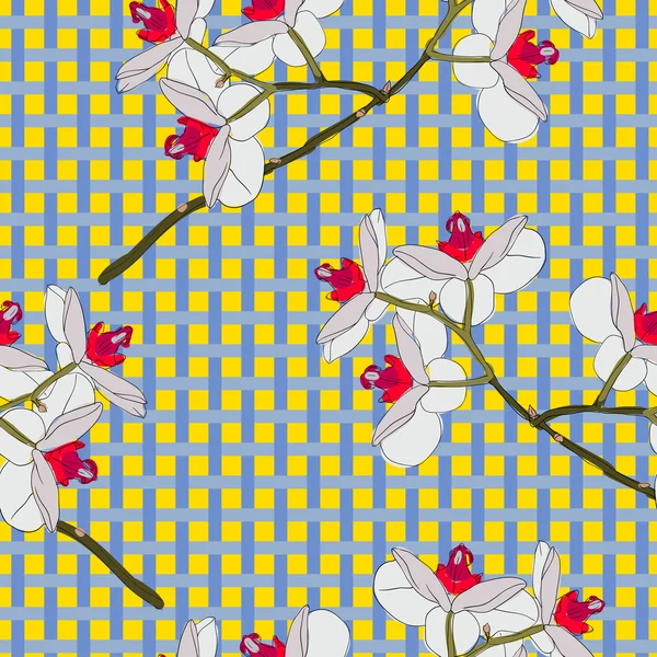 난초 꽃입니다. 완벽 한 벽지. — 스톡 사진