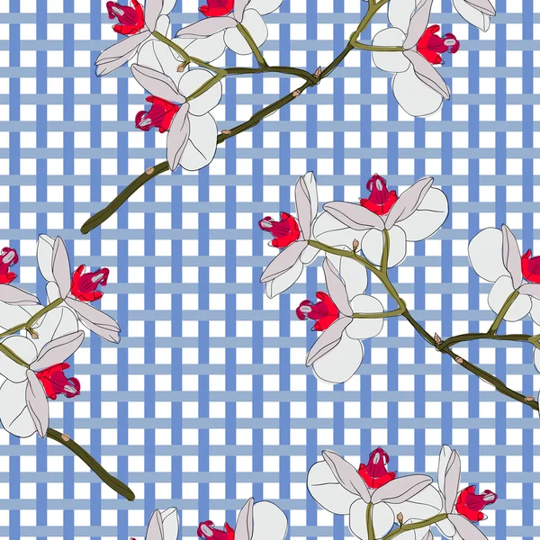 난초 꽃입니다. 완벽 한 벽지. — 스톡 사진