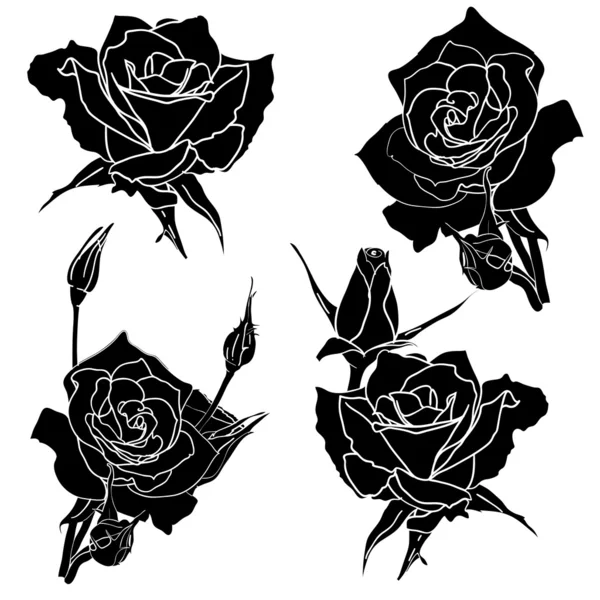 玫瑰纹身花 — 图库照片