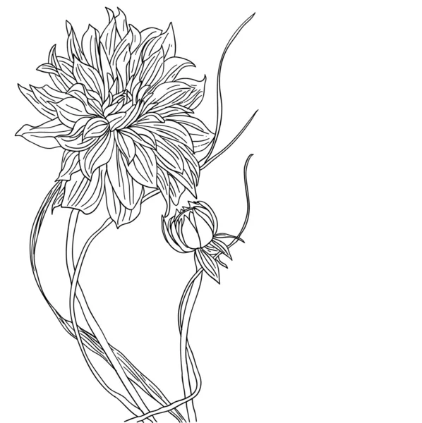 Tattoo flower — Stock Photo, Image