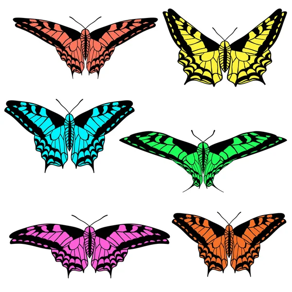 Sada krásných motýlů. — Stock fotografie