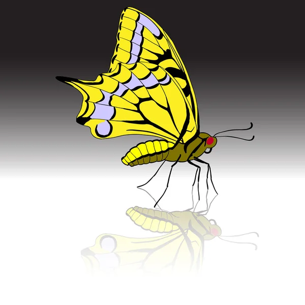 Hermosa ilustración mariposa tropical . —  Fotos de Stock