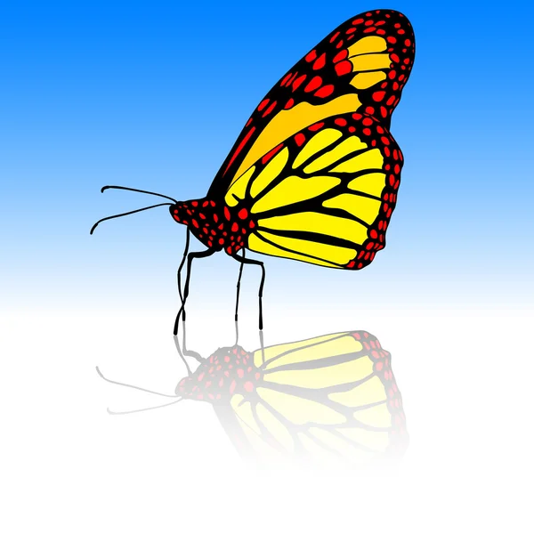 Beautiful tropical butterfly illustration. — Stock fotografie