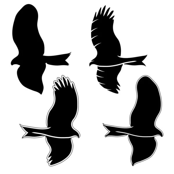 Eagle symbols and tattoo illustration. — Stock Photo, Image