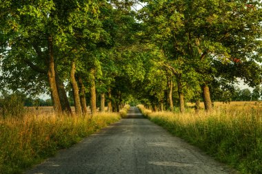 gün batımında boş yol