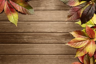 Autumn leaves background with copy space clipart