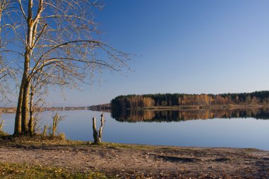 sonbahar lake forest