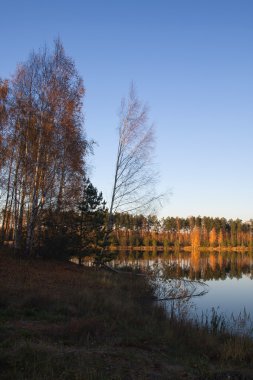 sonbahar lake forest