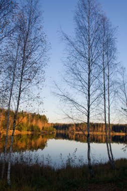 sonbahar lake forest