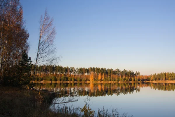 Bosque lago otoño —  Fotos de Stock