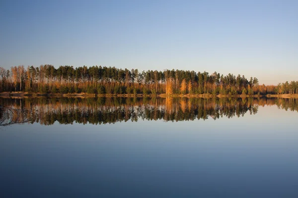 Outono floresta lago — Fotografia de Stock