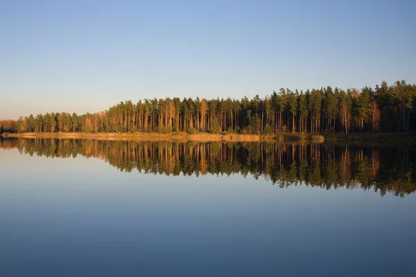 Φθινόπωρο δάσος στη λίμνη — Φωτογραφία Αρχείου