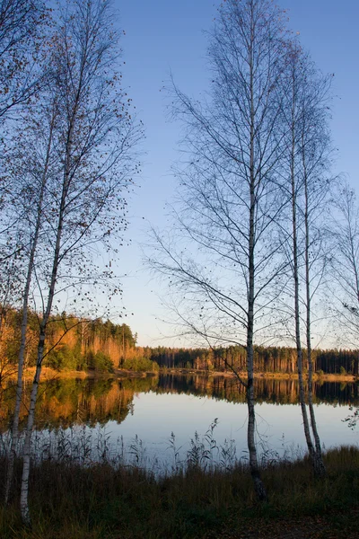 Höstens lake forest — Stockfoto