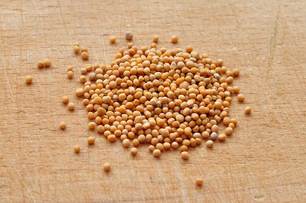Семена горчицы — стоковое фото