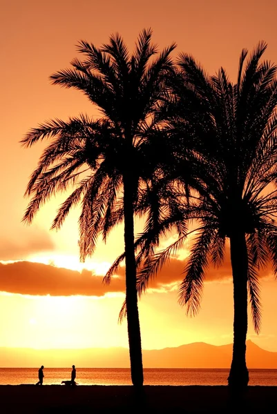 Východ nebo západ slunce na pobřeží Středozemního moře na Mallorce — Stock fotografie