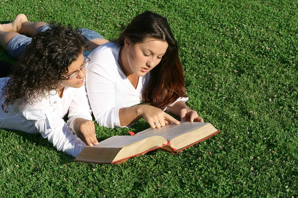 Jovens mulheres lendo no acampamento bíblico ou grupo de estudo — Fotografia de Stock
