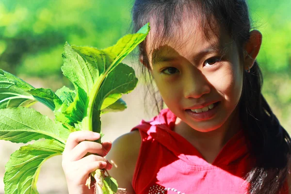 Little girl gazdaság zöld növényi — Stock Fotó