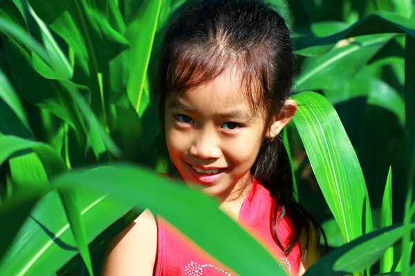 Portrait little girl in a field of corn — Stock Photo, Image