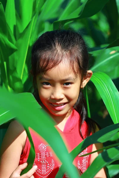 Portrait little girl in a field of corn — Stock Photo, Image