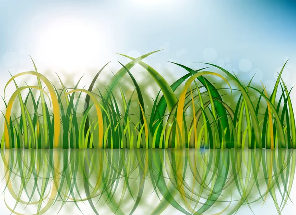 Reflejo hierba verde —  Fotos de Stock