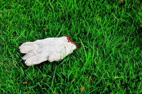 Trawnik i stare rękawice — Zdjęcie stockowe