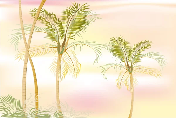 Bel endroit palmier — Image vectorielle